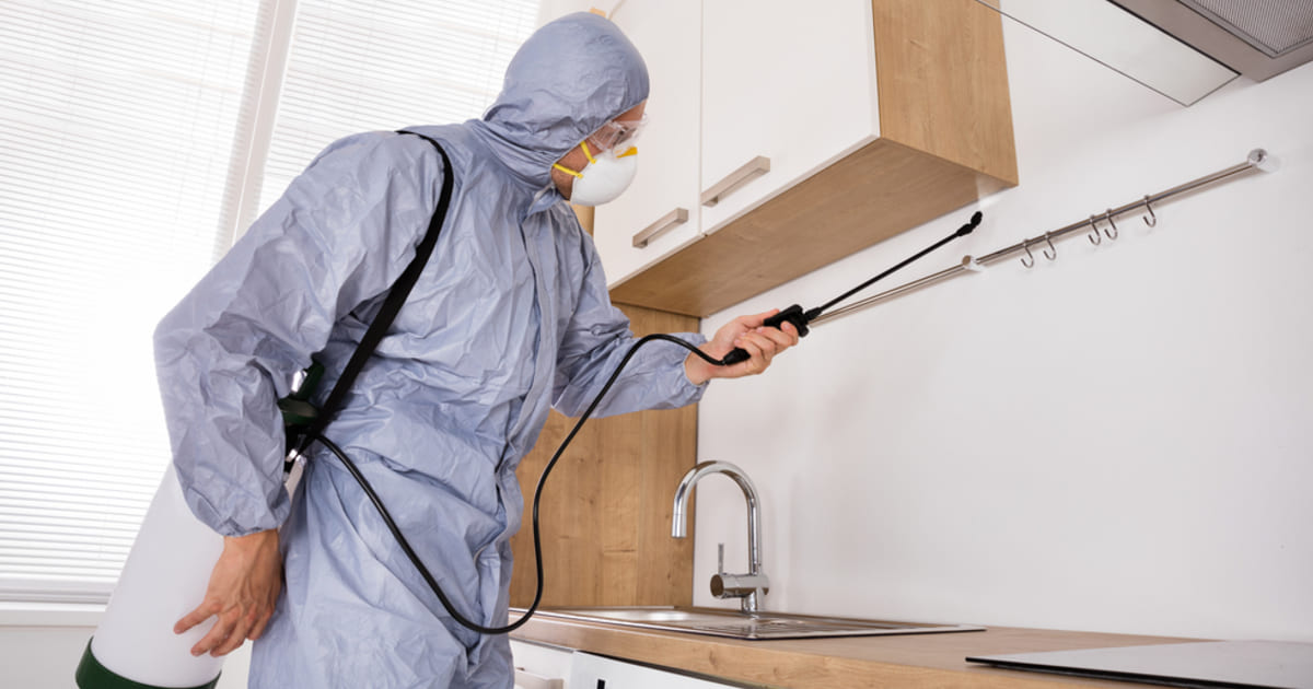 dedetização de residêncial